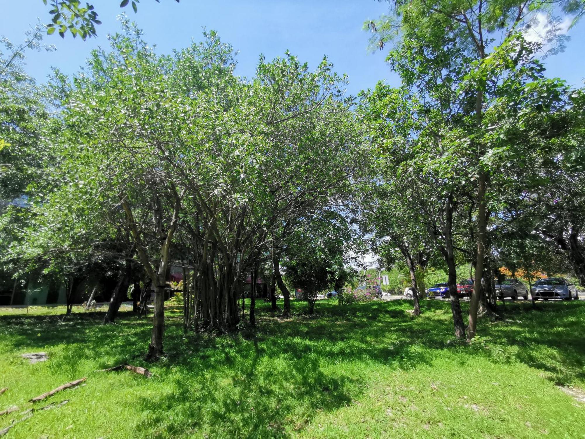 Beautiful & Cozy Near Beach Apartment Pool & Kingsize Bed Cancún Zimmer foto